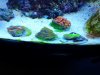 20131014_132706.jpg