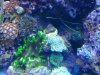 20131014_132719.jpg