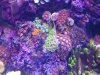 20131014_132727.jpg