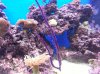 20131020_184130.jpg