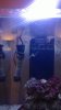 WP_20131020_002.jpg