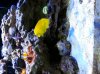 20131021_083341.jpg