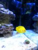 20131021_083354.jpg