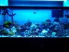 20131020_225832.jpg