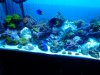 20131020_225851.jpg
