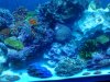 20131020_225920.jpg