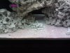 2013-10-22_16-06-20_932.jpg
