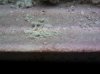 2013-10-22_16-06-11_826.jpg