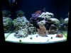20131023_205526.jpg