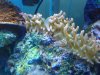 20131025_113417.jpg