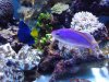 20131024_190343.jpg