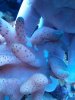 IMG_20131018_191747.jpg