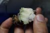 DSC03045.jpg