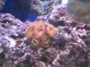 20131031_210455.jpg