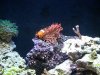 20131031_194031.jpg