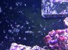 2013-11-01T16-11-00_4.jpg