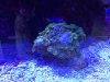 2013-11-01T16-11-00_1.jpg
