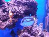 20131102_183818.jpg