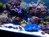 20131104_172140.jpg
