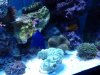 20131104_171840.jpg