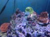 20131104_172039.jpg