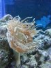 20131006 nem.jpg