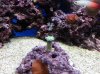 20131115_180737.jpg