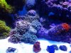 20131116_203159.jpg