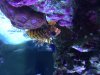 2013-11-17T15-12-21_0.jpg
