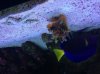 2013-11-17T15-12-21_6.jpg