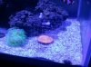 2013-11-26 17.04.04.jpg