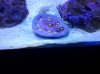20131126_201327.jpg
