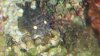 20131201_202643.jpg