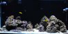 DSC_4074_0038_edited-2.jpg