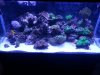 20131203_113910.jpg