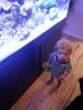 20131204_101544.jpg