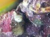 20131208_081240.jpg