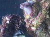 20131208_081301.jpg