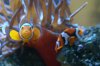 DSC03439.JPG