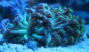 2013-12-14 07.23.04-1-small.jpg