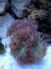 IMG_1227.jpg