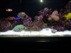 20131215_173309.jpg