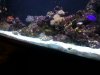 20131211_165029.jpg