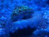 DSC04339.jpg