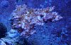 2013-12-29 03.03.54.jpg