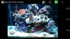 Screenshot_2014-01-02-02-15-36.jpg
