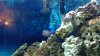 ALESHIA - WIN_20140104_192217.JPG