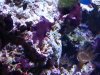 20140111_160011.jpg
