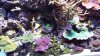 20140116_164309.jpg