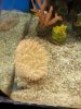 20131215_120151.jpg